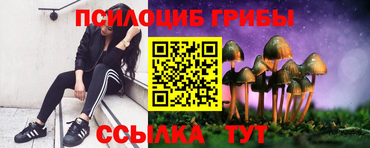 Галлюциногенные грибы Magic Shrooms  Галлюциногенные грибы GOLDEN TEACHER  Шарыпово  Вход с VPN 
